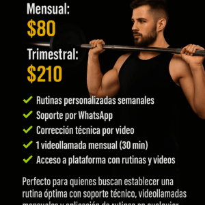 Plan Pro Mensual